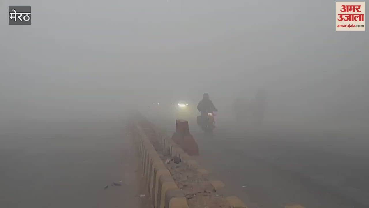 Meerut: Due to fog, the speed of vehicles slows down on Delhi Road.