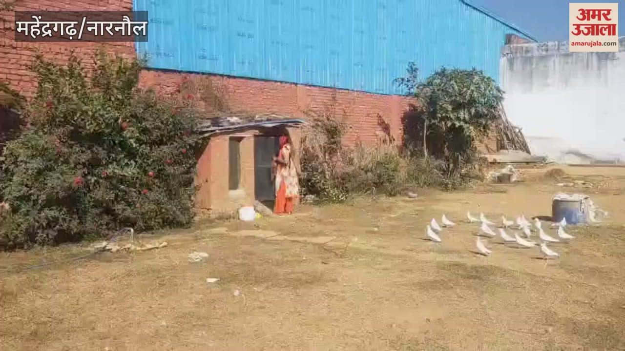 In Narnaul, Ajit Kaur has a love for animals and birds, and she keeps pigeons, rabbits, and ducks as pets