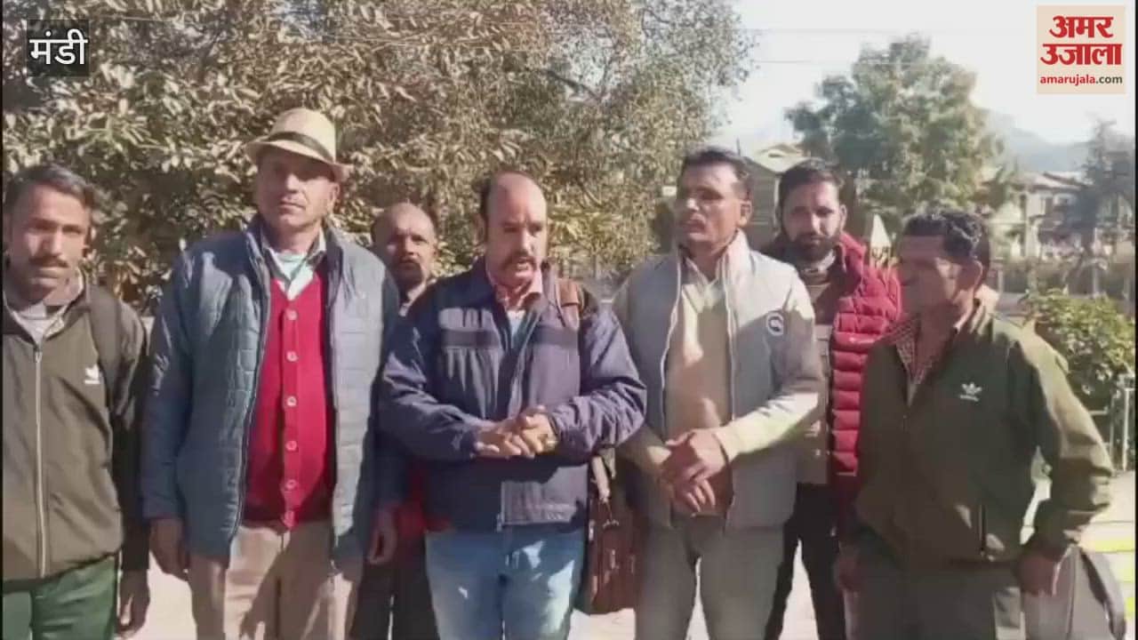 Mandi Panchayat watchmen strongly protested against the state government in Mandi alleging discrimination