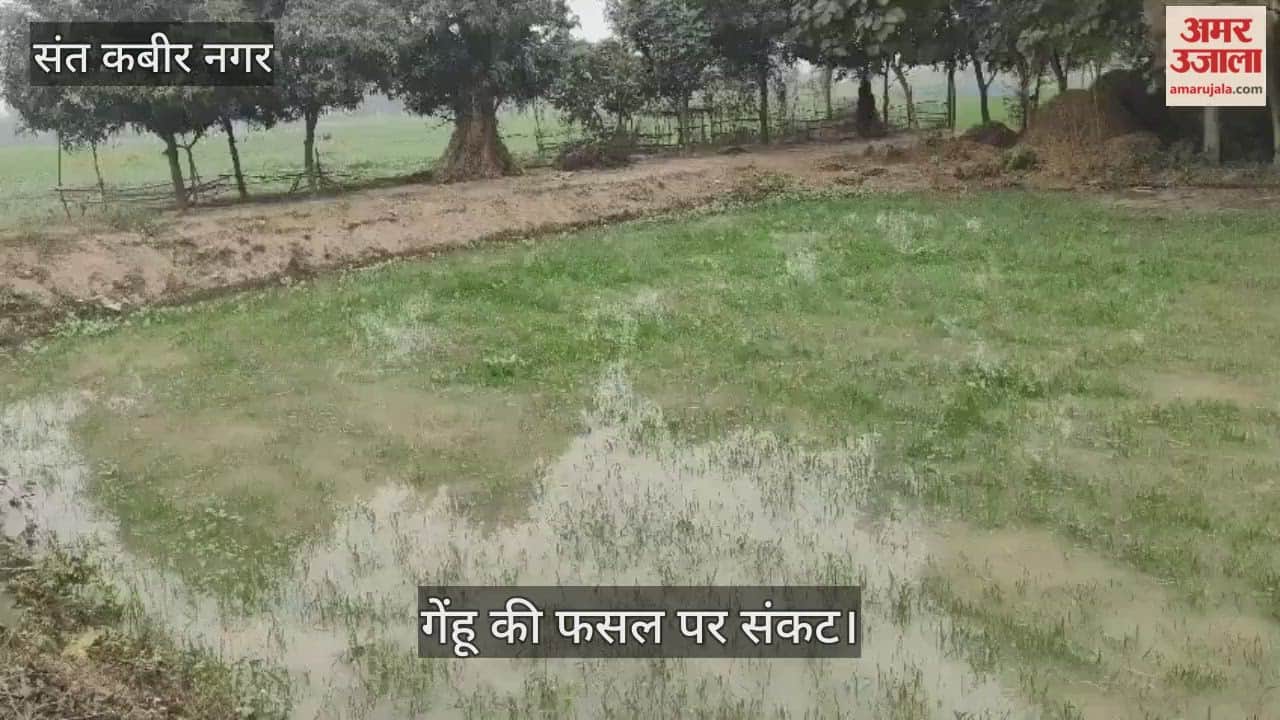 The flow of water in the canals in Semriyawan is wreaking havoc on the farmers' fields.