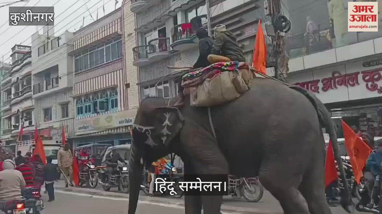 A procession of elephants, horses and bands was taken out at the Hindu convention.