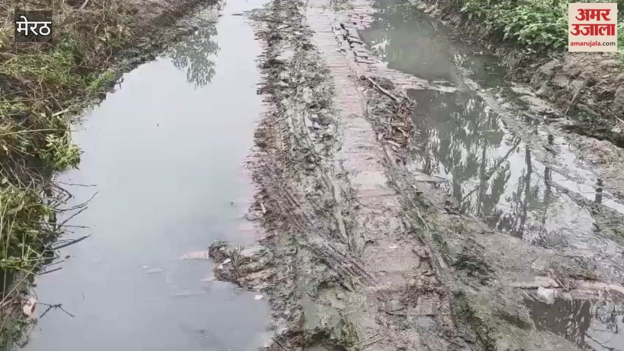 Meerut: Traffic between two villages disrupted due to waterlogging