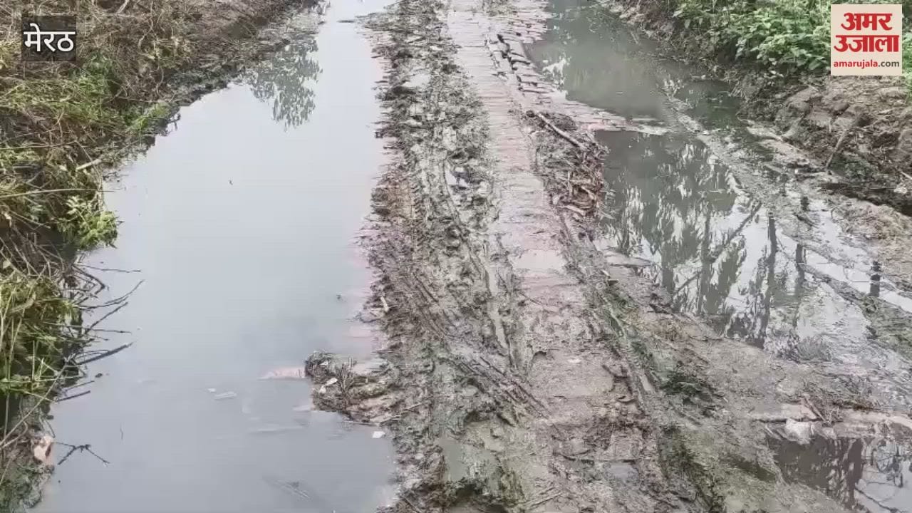 Meerut: Traffic between two villages disrupted due to waterlogging