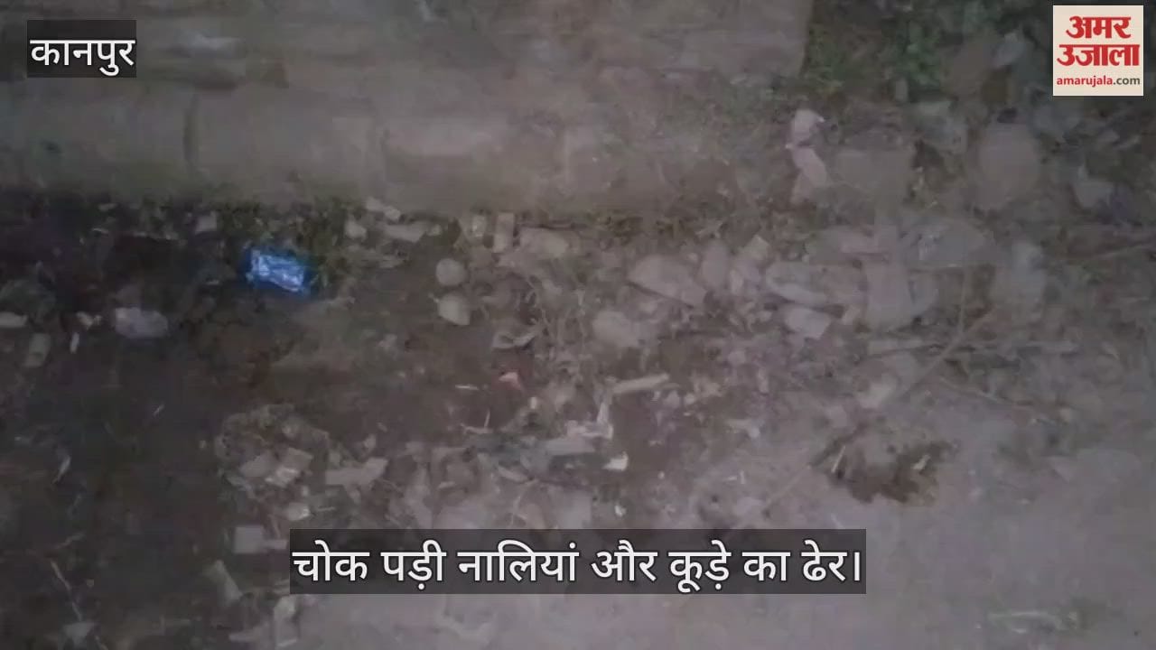 कानपुर: भगवंत टाटिया गांव में गंदगी का अंबार, फिर भी पार्षद और नगर निगम बेपरवाह