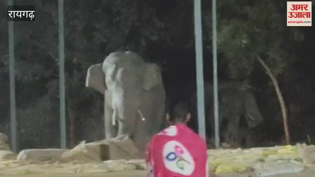 Elephants wreak havoc in Bangurasia village