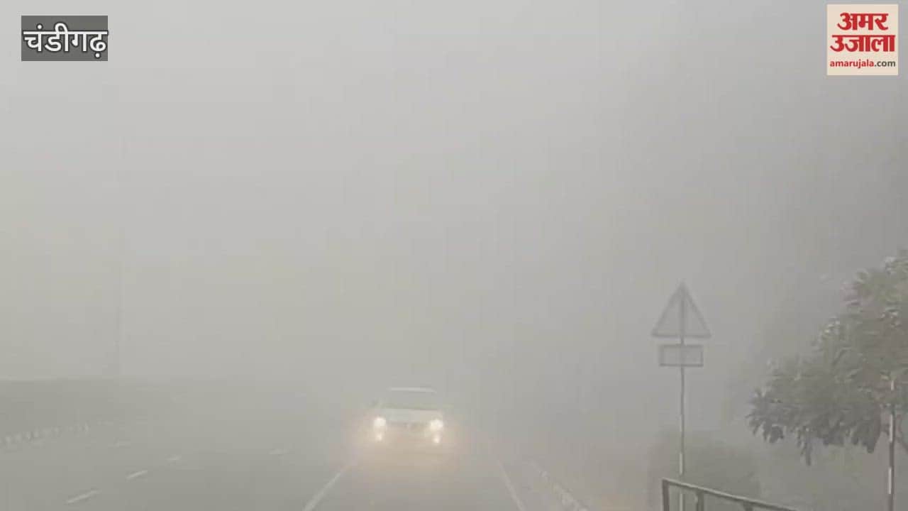 Dense Fog in chandigarh