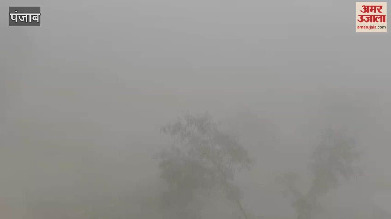 Dense Fog in Phagwara