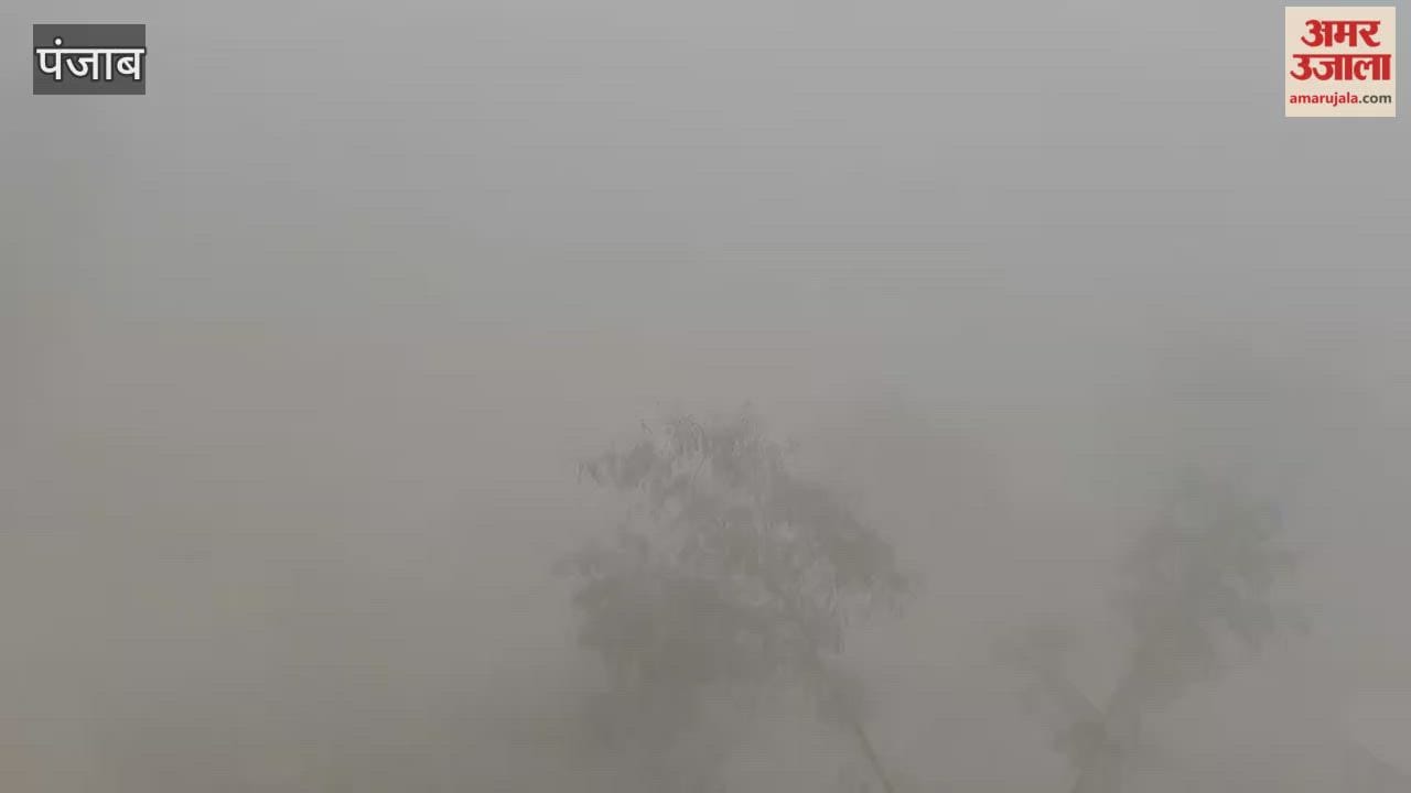Dense Fog in Phagwara