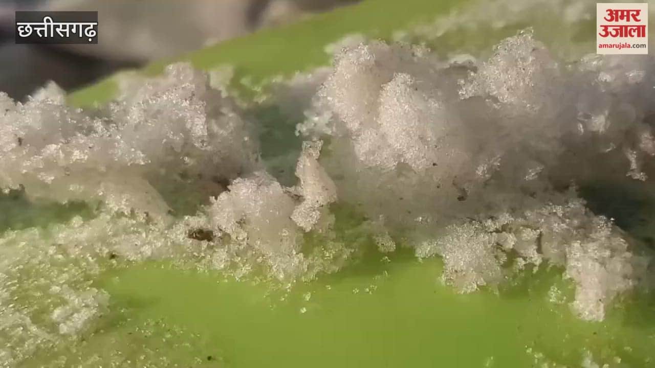 Life has been disrupted in Surguja district due to the severe cold