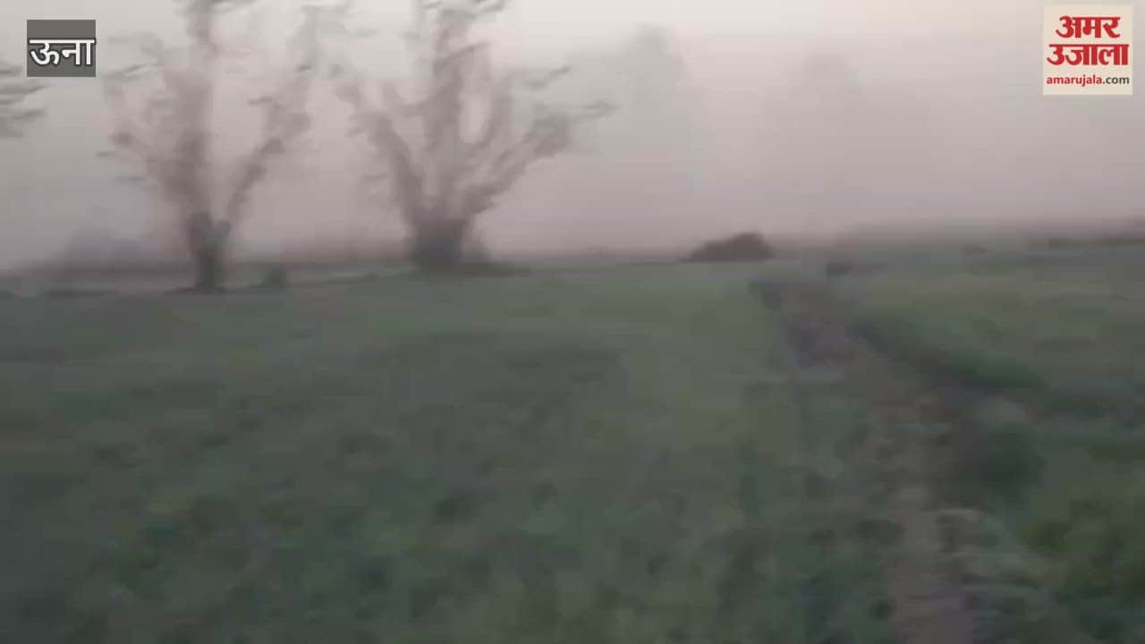 Una The morning fog and strong sunshine in the afternoon have increased the difficulties for farmers