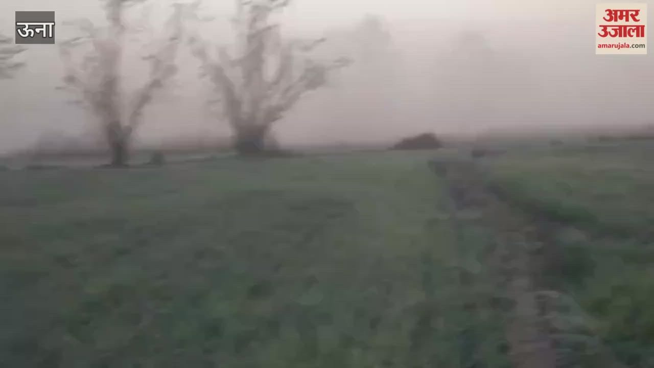 Una The morning fog and strong sunshine in the afternoon have increased the difficulties for farmers