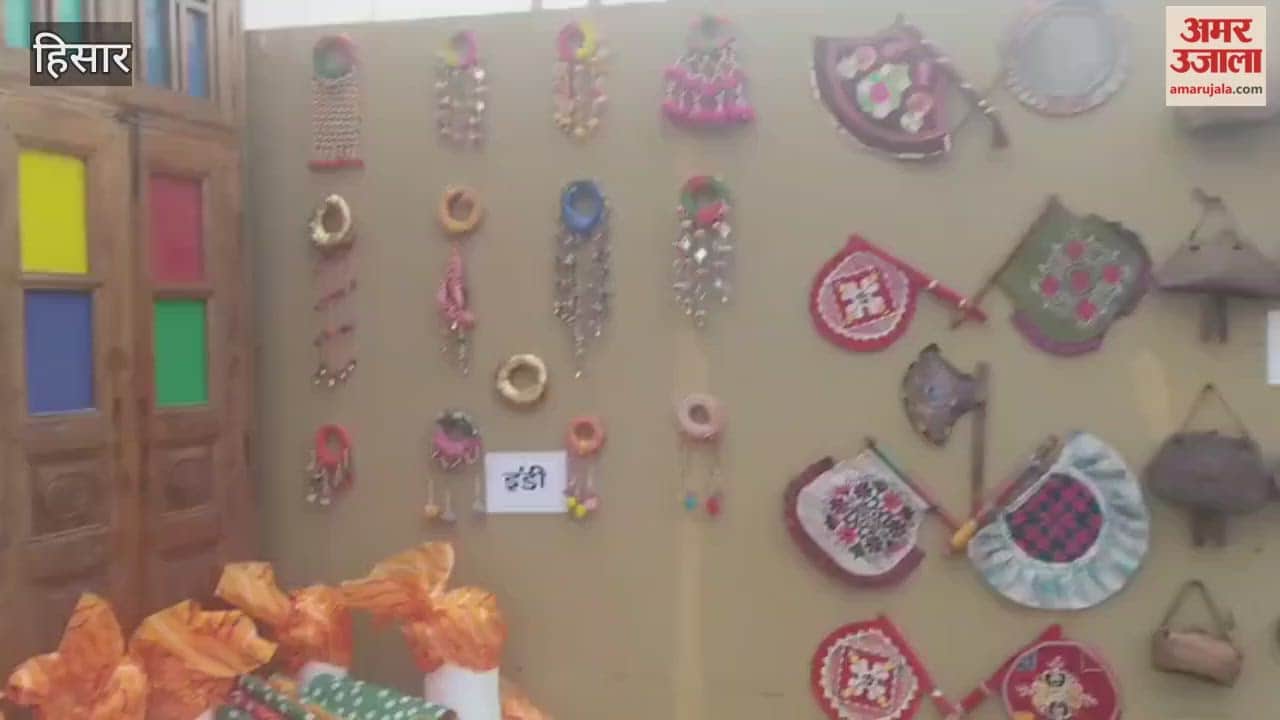 cultural exhibition showcasing heritage at the Rakhigarhi festival in Hisar became a major attraction.