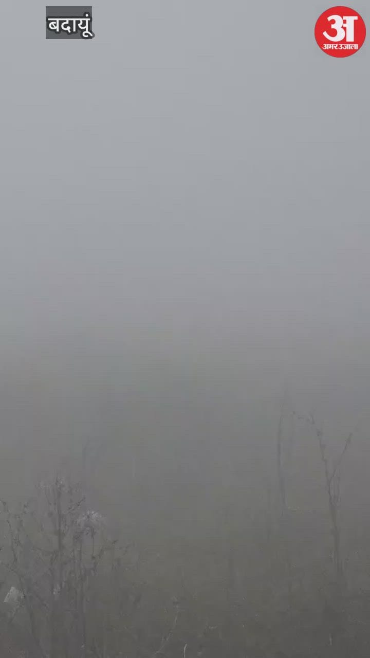 Budaun Weather: घने कोहरे की चादर में लिपटा जिला, हाईवे पर थमी रफ्तार, ठंड से कांपे लोग