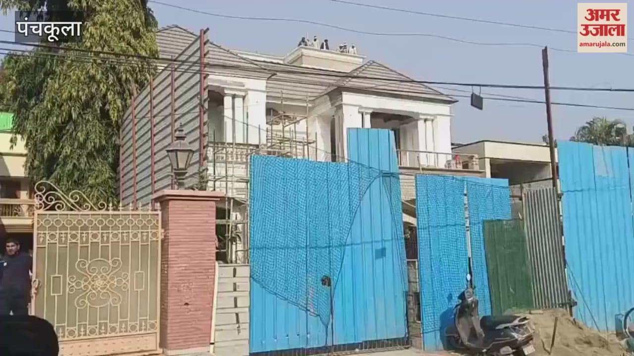 Leopard In Panchkula Reportedly Spotted Near House In Sector 6