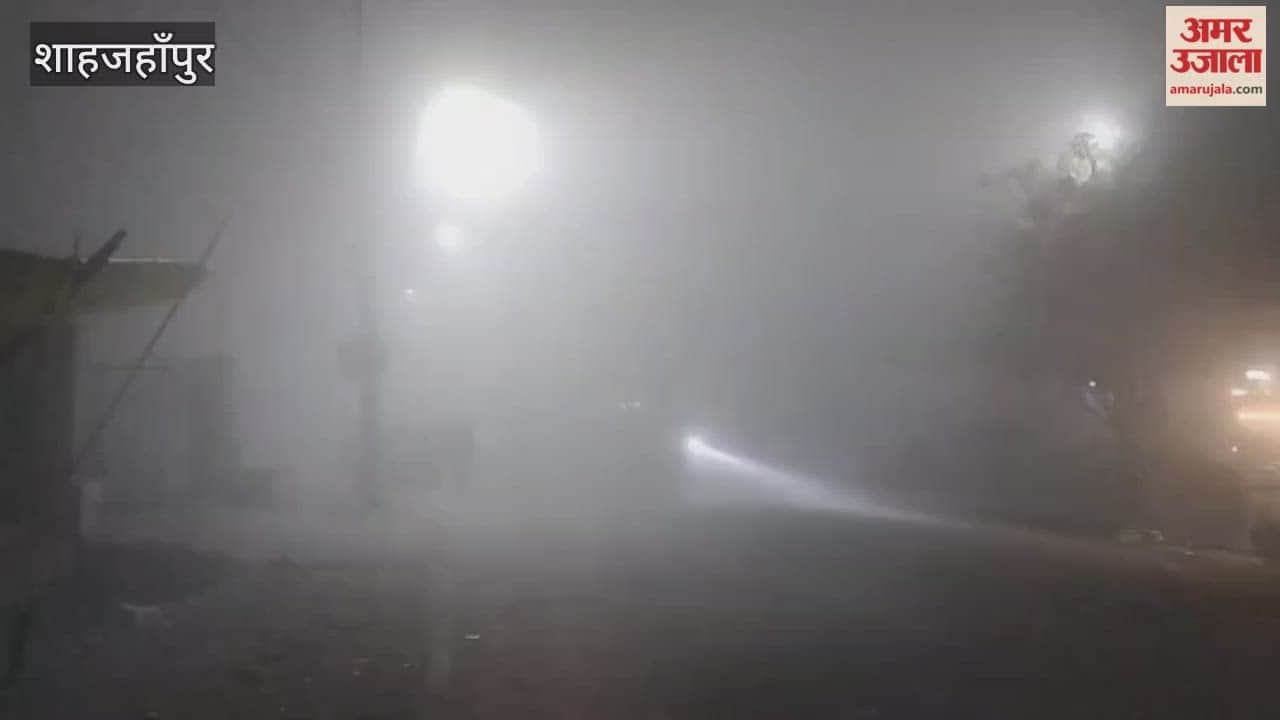 fog persisted throughout the night, and there was no relief during the day in Shahjahanpur