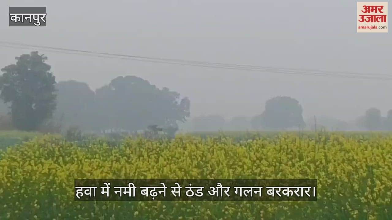 कानपुर: भीतरगांव इलाके में कोहरा गायब, बादल छाए.... गलन भी बरकरार