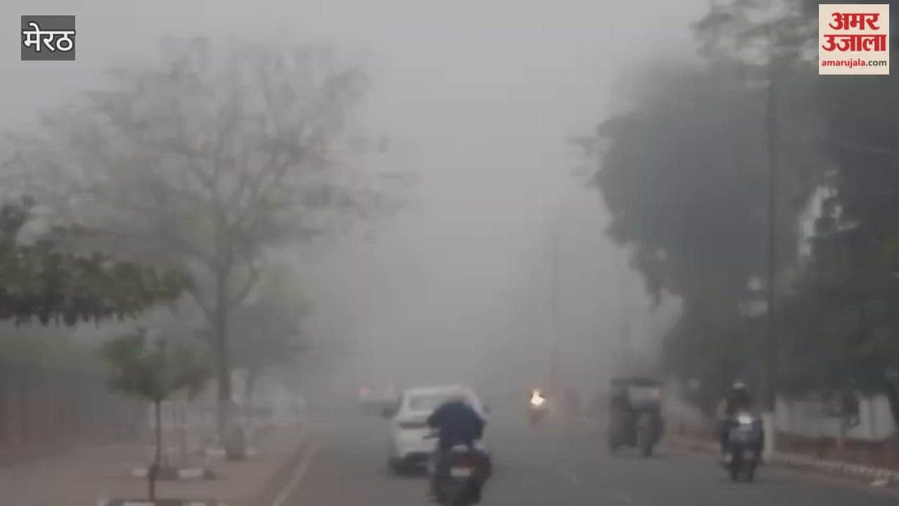 Meerut: Life is miserable due to dense fog and cold.