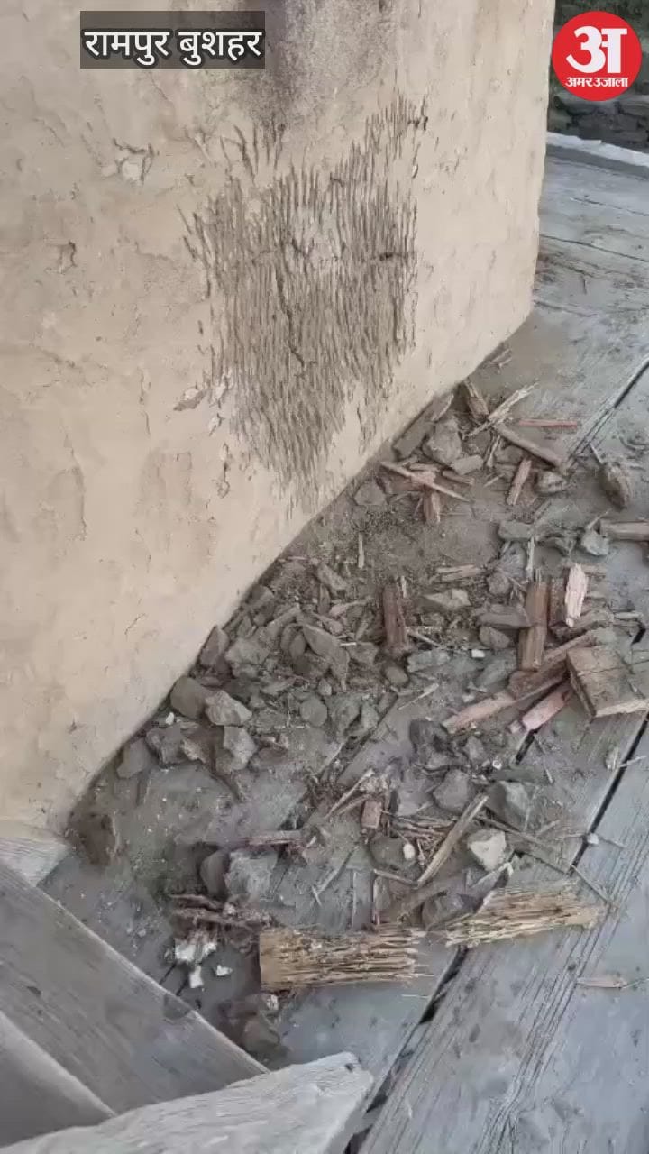 Rampur Bushahr: ननखड़ी तहसील के तहत तीन गांव में भालुओं का आतंक, ग्रामीण सहमे