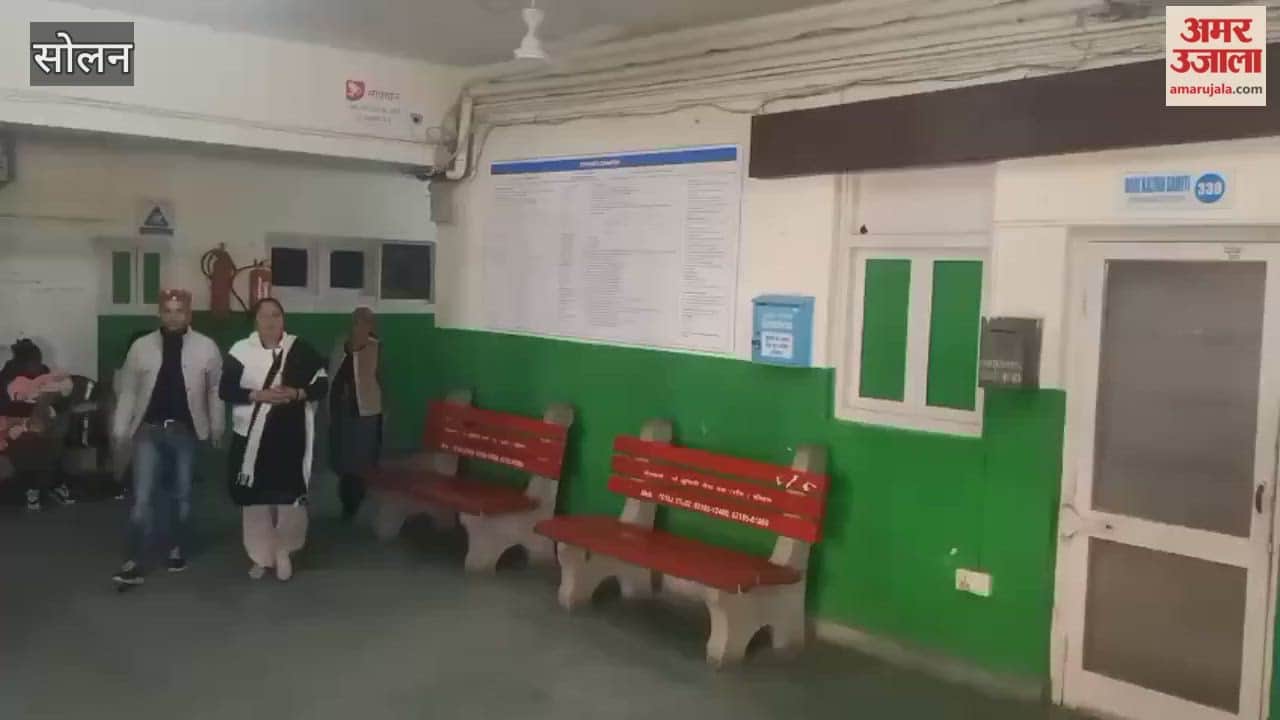 Solan The OPD at the regional hospital remained closed as doctors went on strike