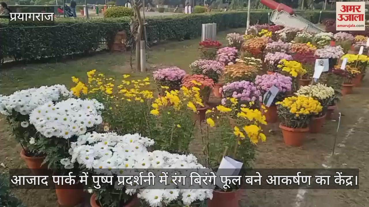 Colourful flowers became the centre of attraction at the flower exhibition in Azad Park, with many varieties of roses present.
