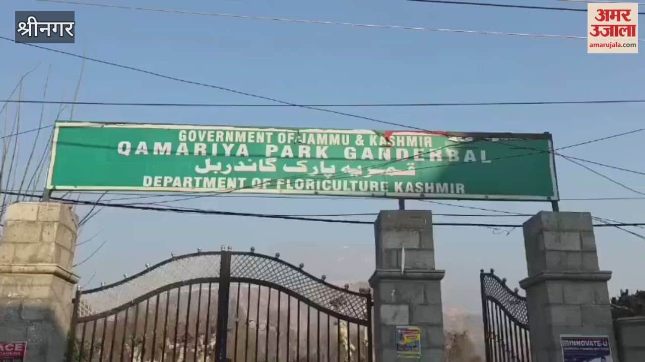 Public Park Turns Into Hub of Addiction in Ganderbal Liquor bottles and syringes recovered