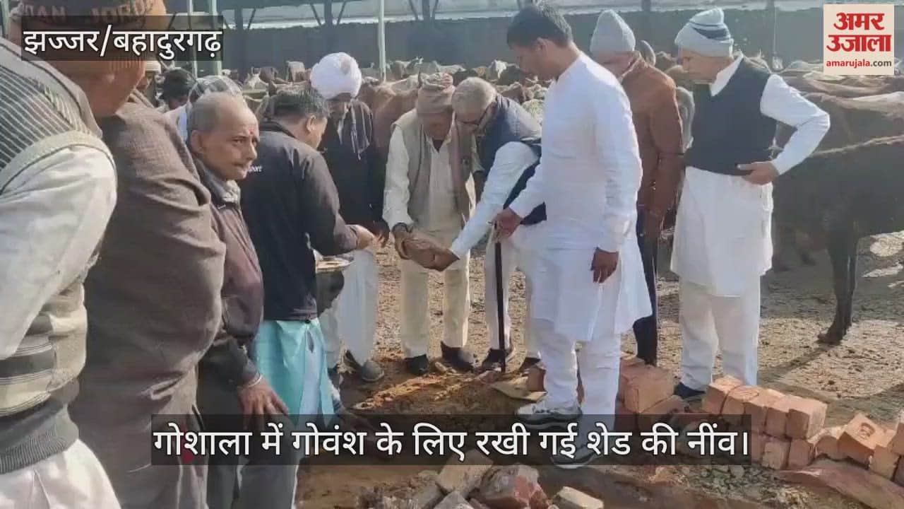 Foundation stone laid for cattle shed in cowshed