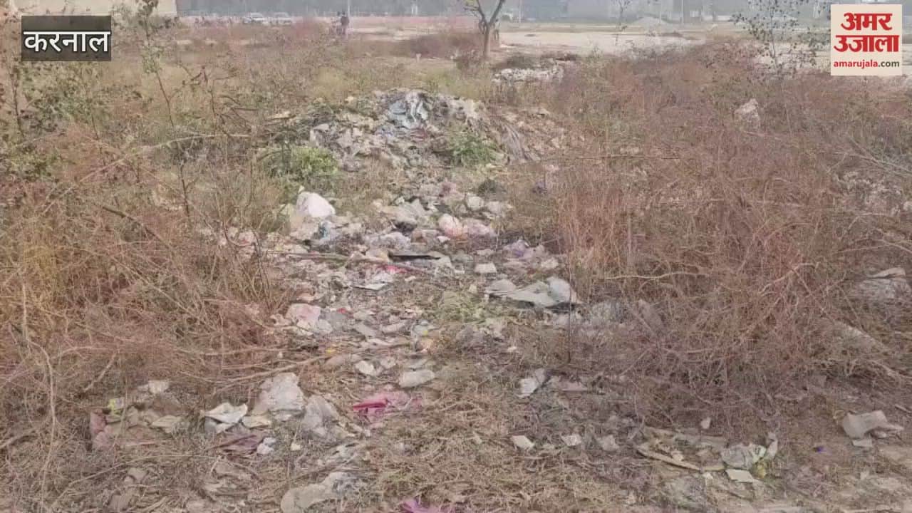 Clean Survey tool kit released