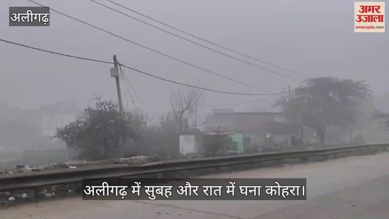 अलीगढ़ में सुबह और रात में घना कोहरा