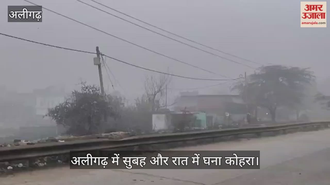 अलीगढ़ में सुबह और रात में घना कोहरा