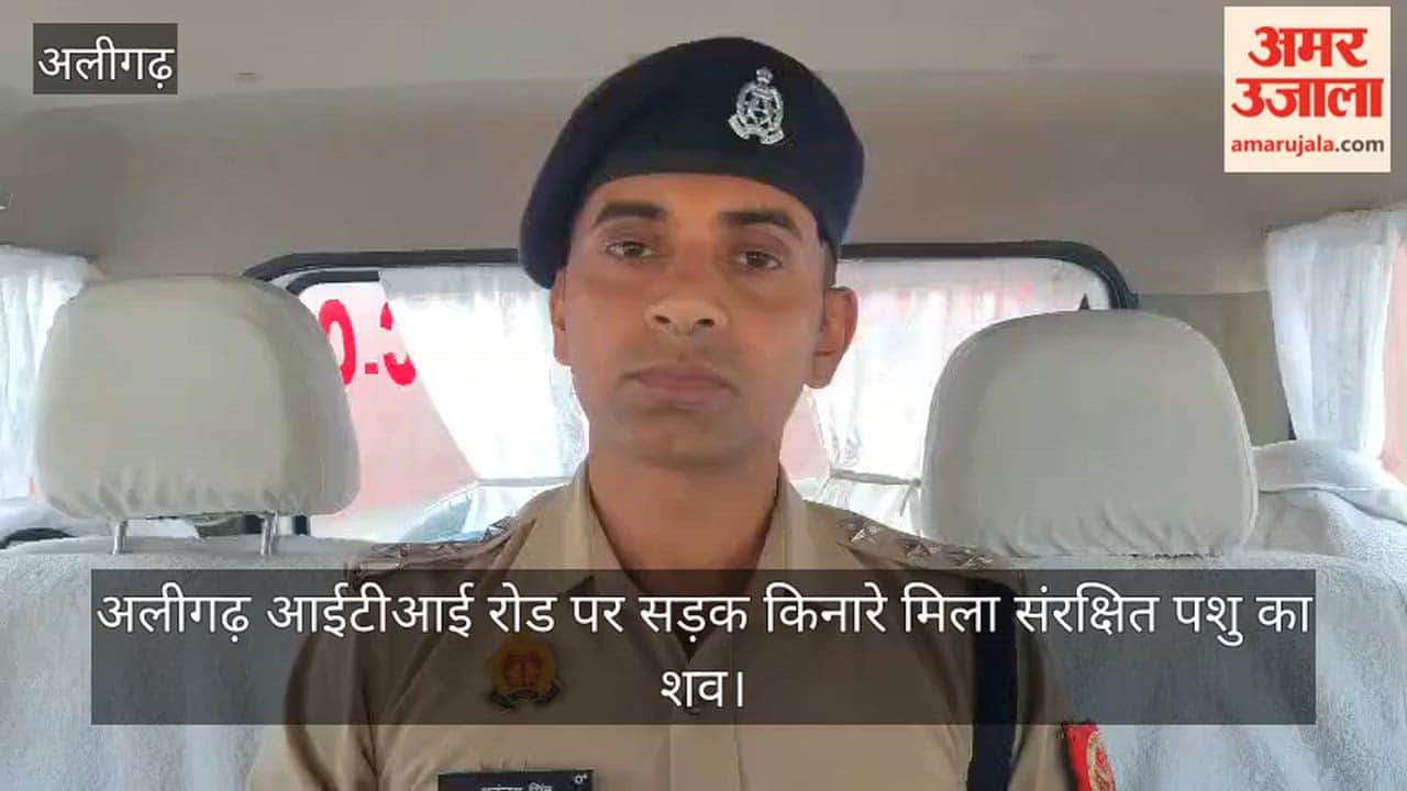 अलीगढ़ आईटीआई रोड पर सड़क किनारे मिला संरक्षित पशु का शव