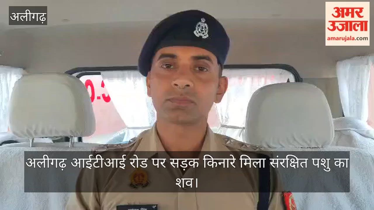 अलीगढ़ आईटीआई रोड पर सड़क किनारे मिला संरक्षित पशु का शव