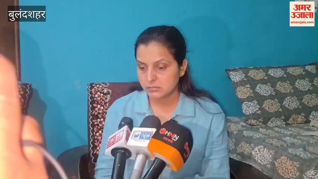 Shikha from Bulandshahr, who claimed to have secured 113th rank in UPSC-2025, admits her mistake
