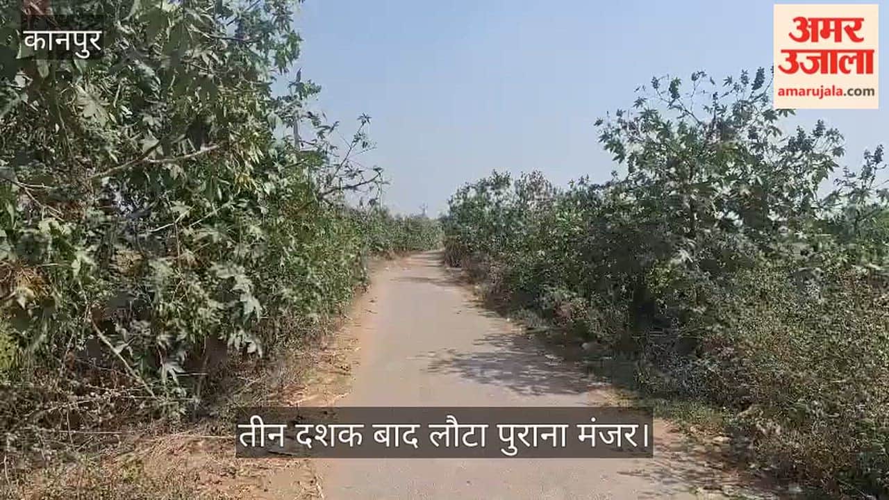 कानपुर: लुप्त होती पहचान को संजोए है सुंदरपुर, अरंडी के पेड़ों का गढ़ बना रहा है गांव