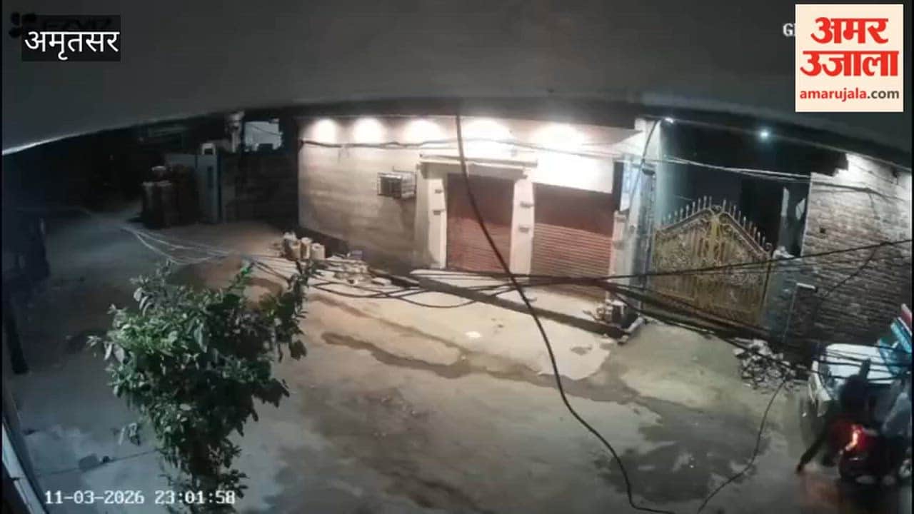 3 buffaloes stolen in Amritsar