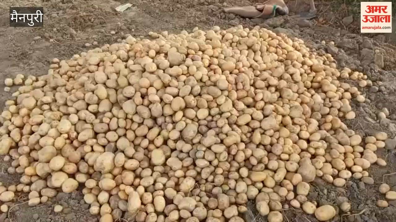farmers worried from potato prices fall