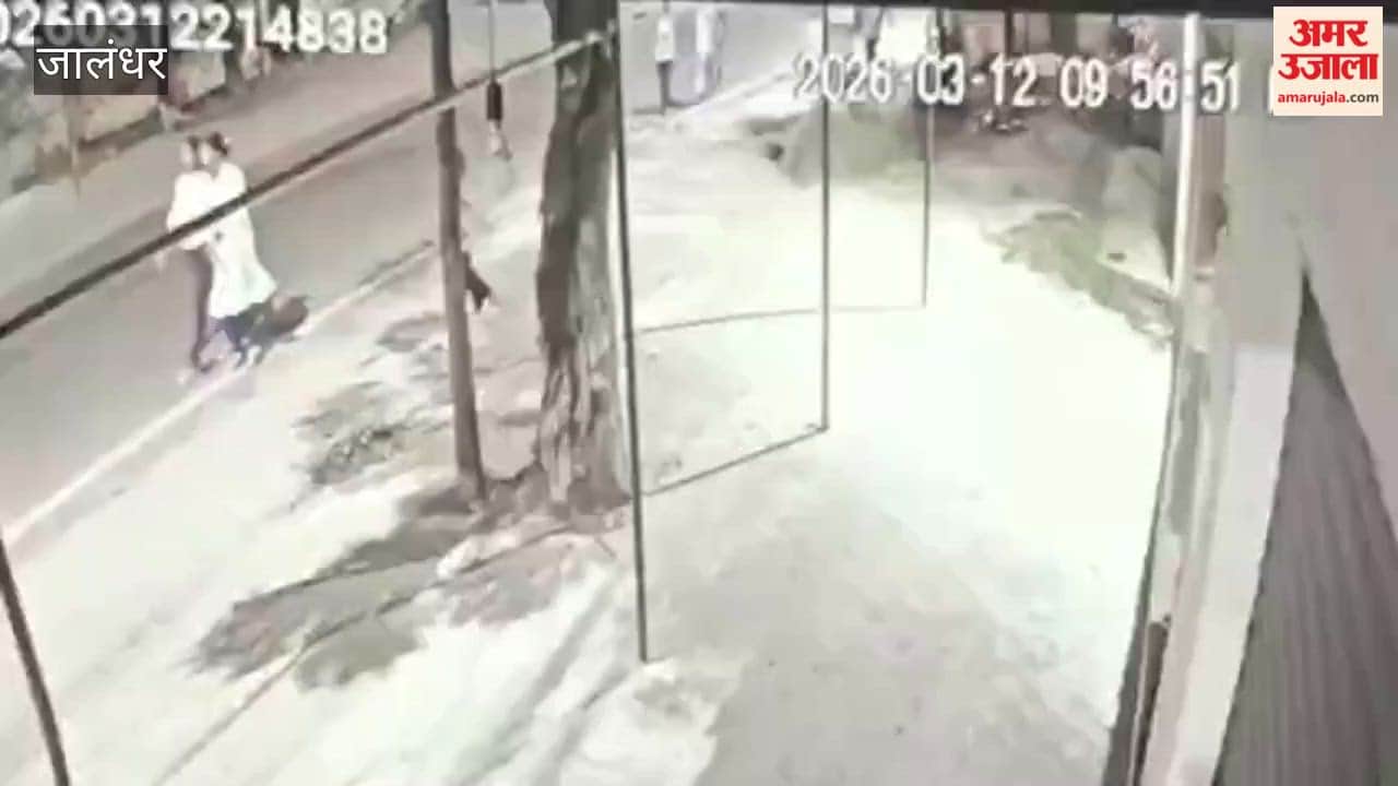 Overspeeding Safari Collides with Bike in Jalandhar Youth Dies