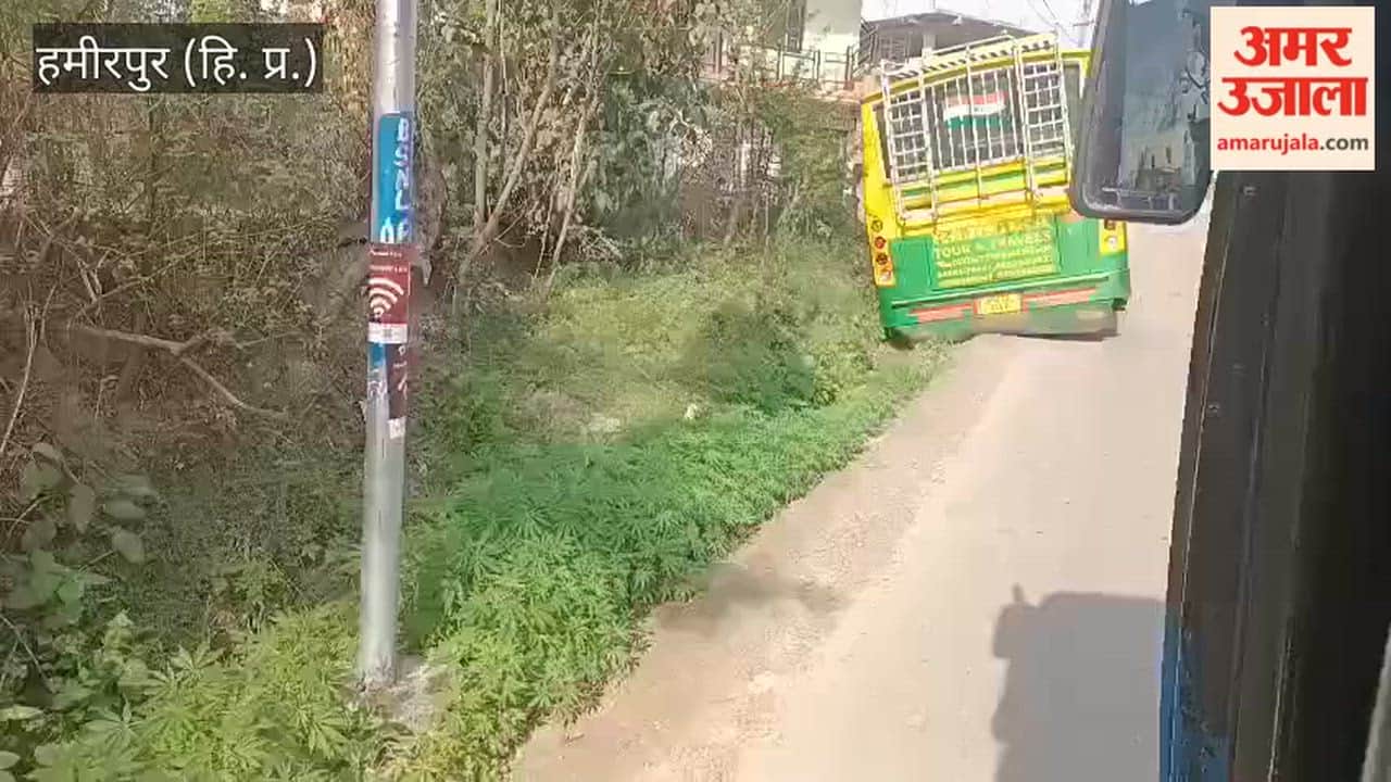 Hamirpur Bus Meets with Accident Near Kohli