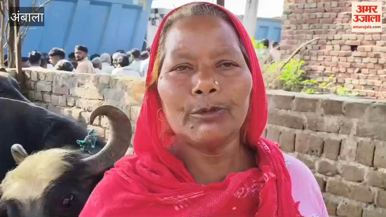 Rampage by Buffalo Thieves in Kalpi, Ambala: Cattle Rearer Hacked to Death with Choppers