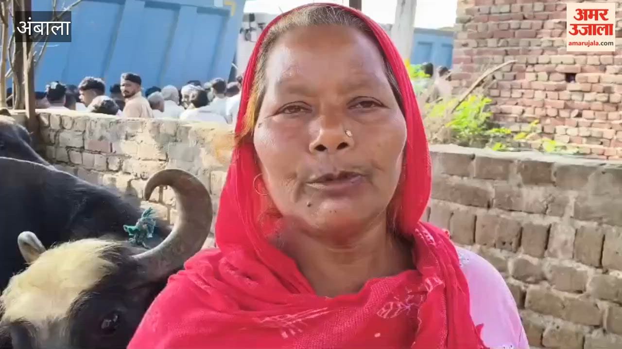 Rampage by Buffalo Thieves in Kalpi, Ambala: Cattle Rearer Hacked to Death with Choppers