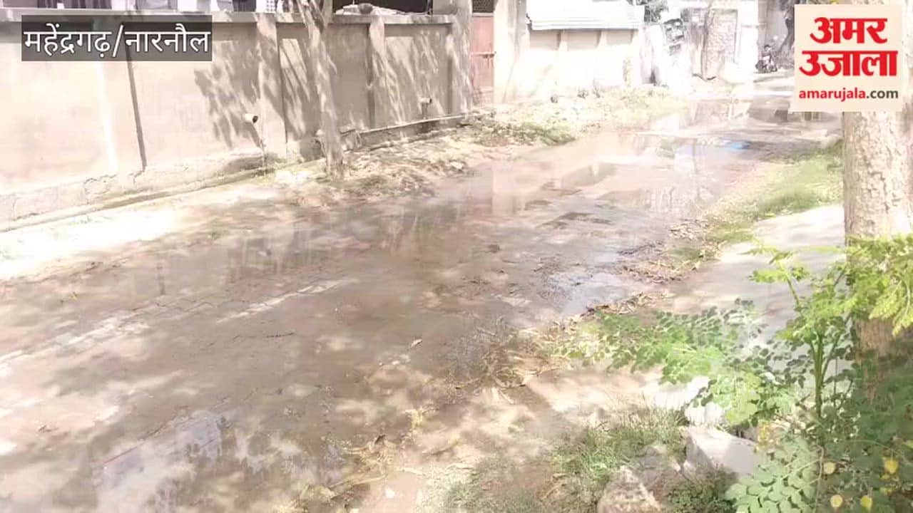 Ward residents in Narnaul's Nangal Chaudhary municipality are distressed due to waterlogging.