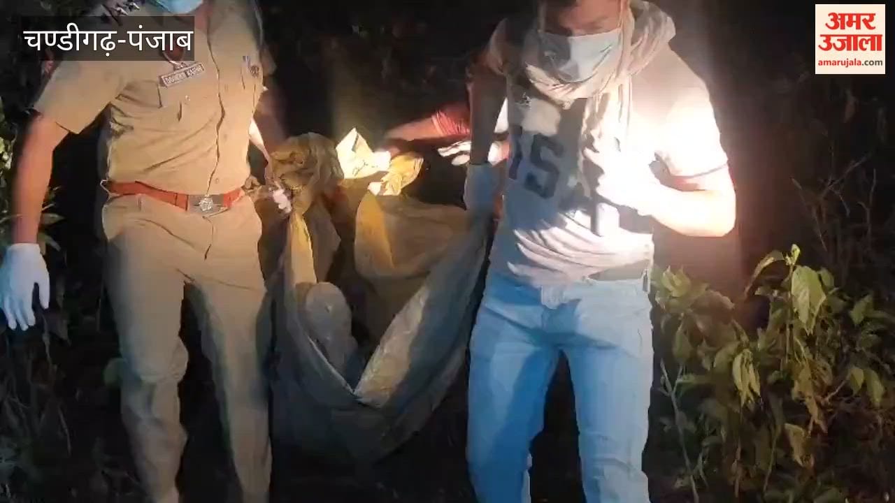 Body of Youth Missing for Four Days Found Hanging from a Tree in Pathankot