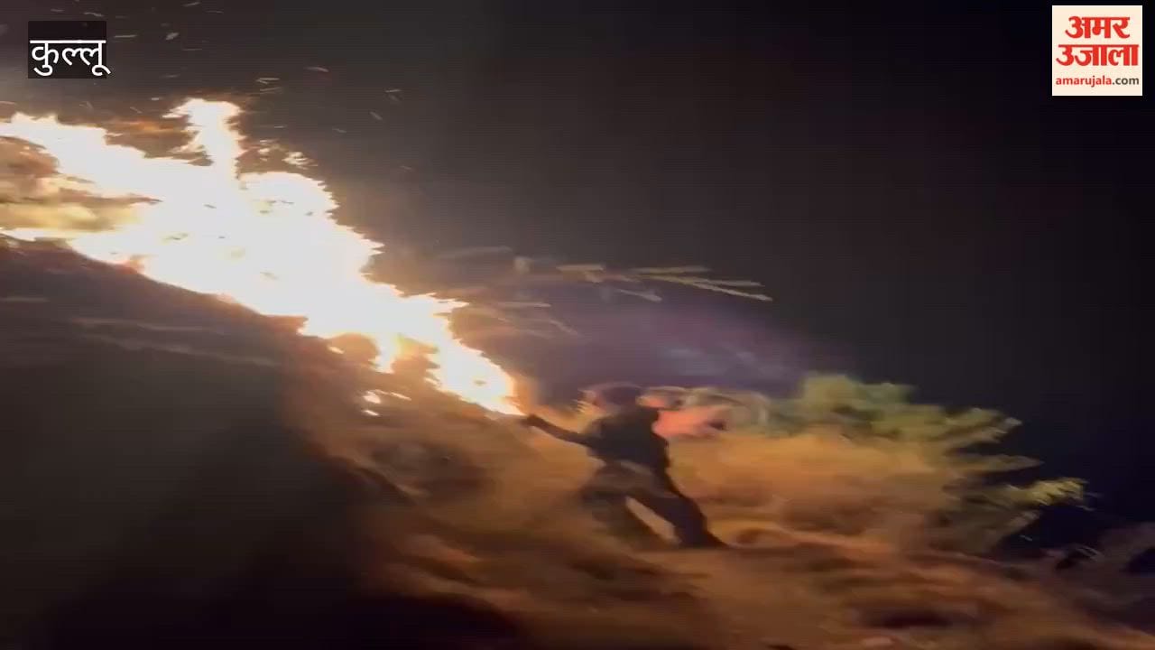 Kullu Miscreants set a forest fire, villagers brought it under control after hard work