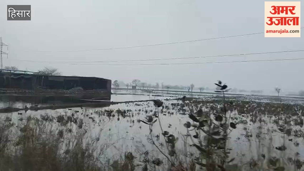 Demand for drainage of water filled in the fields of Barwala assembly constituency in Hisar, appeal made to the minister