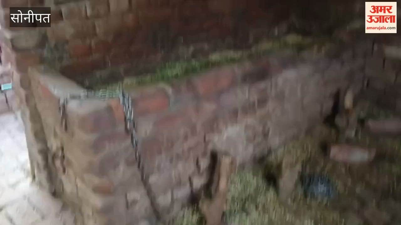 Three buffaloes stolen from cattle shed in Sonipat; cattle owner calls police