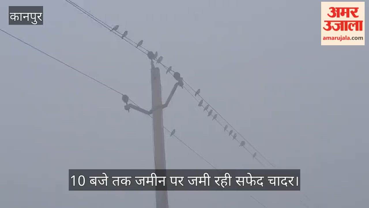 भीतरगांव: मार्च की सुबह में जनवरी जैसी धुंध, अचानक घने कोहरे ने सबको चौंकाया