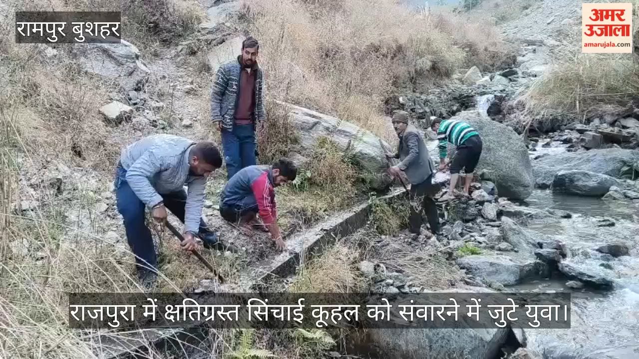 Rampur: Youth busy repairing damaged irrigation canal in Rajpura