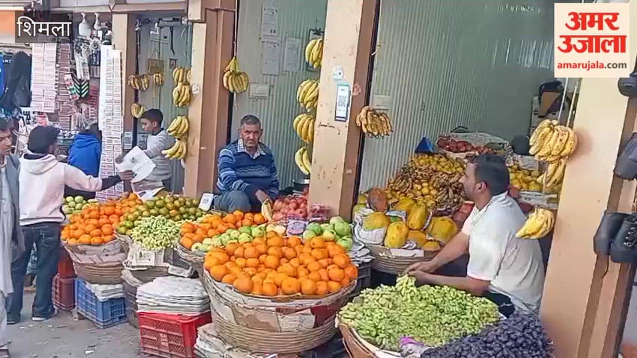Shimla: Watermelon is being sold at Rs 40 and mango at Rs 350 per kg
