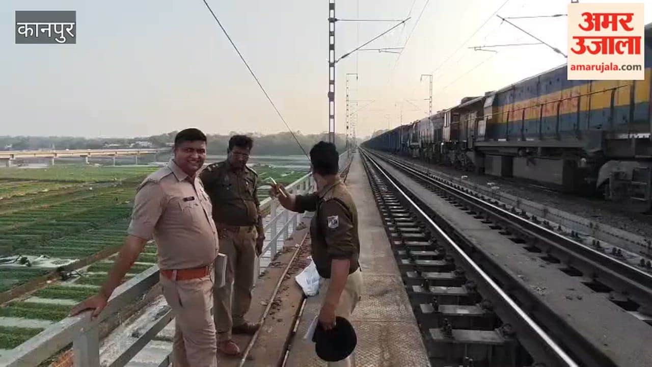 Teenage girl commits suicide by jumping in front of train; was mentally ill