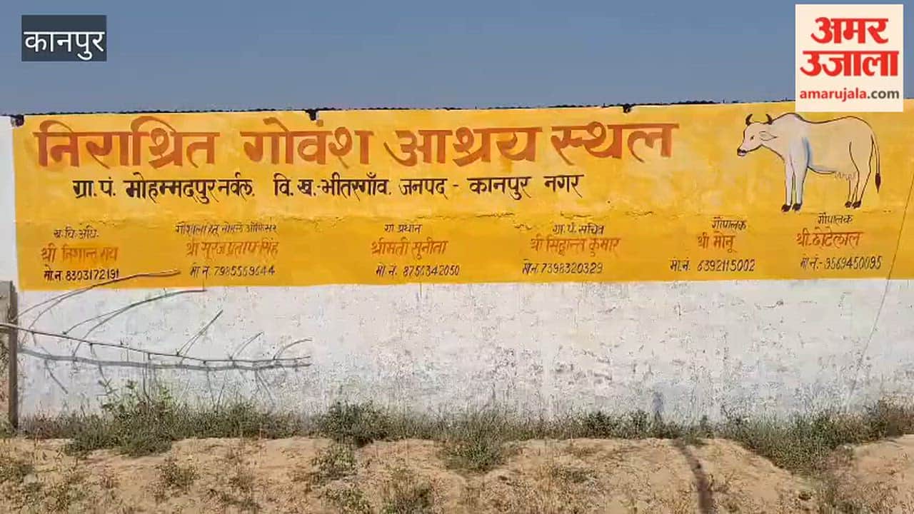 Due to negligence of the responsible people, the cattle of Mohammadpur Narwal Gaushala are in distress