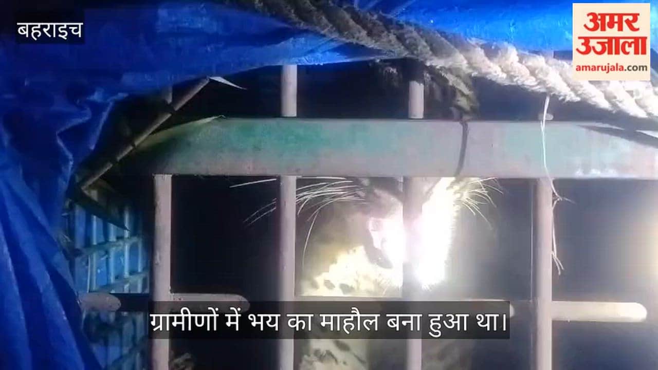 VIDEO: बहराइच: अब गौड़िया गांव में पिंजरे में कैद हुआ तेंदुआ, 15 दिनों से बना हुआ था आतंक का पर्याय